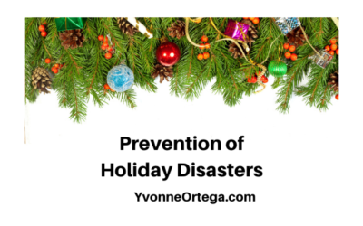 Prevention of Holiday Disasters: What Can You Do?