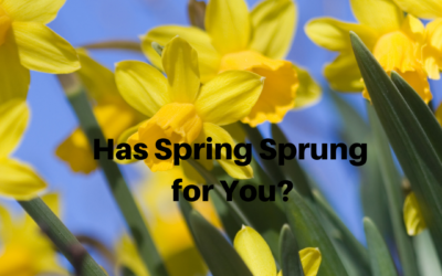 Has Spring Sprung with Resurrection and Redemption for You?